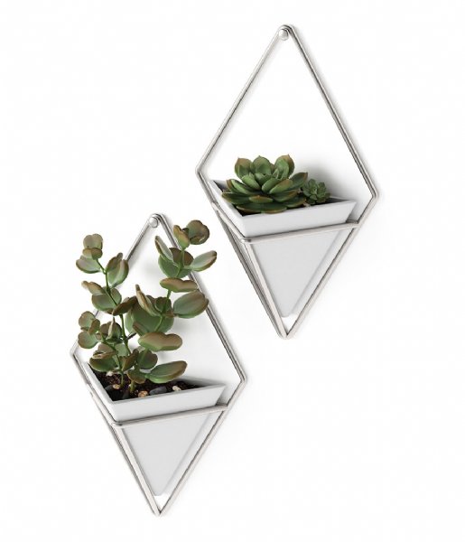 Umbra Decorative object Trigg Small Wall Display set of 2 White Nickel(670)