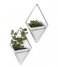 Umbra Decorative object Trigg Small Wall Display set of 2 White Nickel(670)