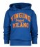 Vingino  Logo Sweater Hoody Ultra blue (1012)